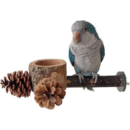 Apple Wood Foraging Bowl – Premium & Natural Pine Cones Set