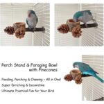 Apple Wood Foraging Bowl – Premium & Natural Pine Cones Set — view 5