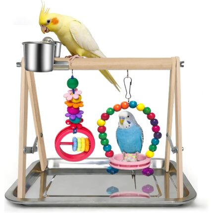 Wooden Bird Play Stand with Stainless Steel Feeders & Chew Toys