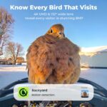 4K Solar Smart Bird Feeder with AI Recognition Camera — view 2