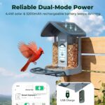 4K Solar Smart Bird Feeder with AI Recognition Camera — view 3
