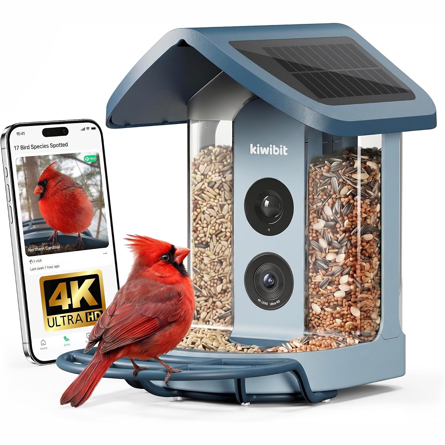 4K Solar Smart Bird Feeder with AI Recognition Camera 4K Solar Smart Bird Feeder with AI Recognition Camera