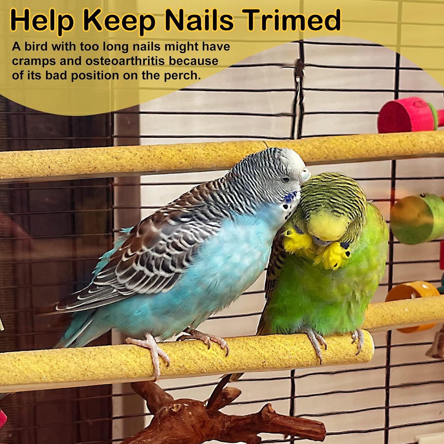 Pet Bird Nail Trimming Perches – Sanded Parrot Grooming Dowels — view 2
