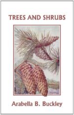 Cultivating Trees & Shrubs
