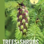 Pacific Northwest Trees & Shrubs Field Guide