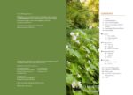 Pacific Northwest Trees & Shrubs Field Guide - Hình 4