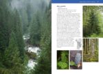 Pacific Northwest Trees & Shrubs Field Guide - Hình 6