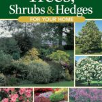 Trees Shrubs Hedges for Home