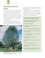 Trees Shrubs Hedges for Home - Hình 4