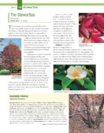 Trees Shrubs Hedges for Home - Hình 7