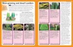 Specialist Guide Trees & Shrubs - Hình 4