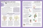 Specialist Guide Trees & Shrubs - Hình 5