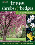 Essential Guide Landscape Trees Shrubs