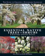 Eastern US Native Trees & Shrubs