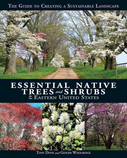 Eastern US Native Trees & Shrubs: Sustainable Landscape Guide
