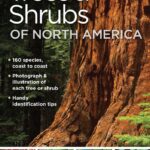 National Geographic North American Flora