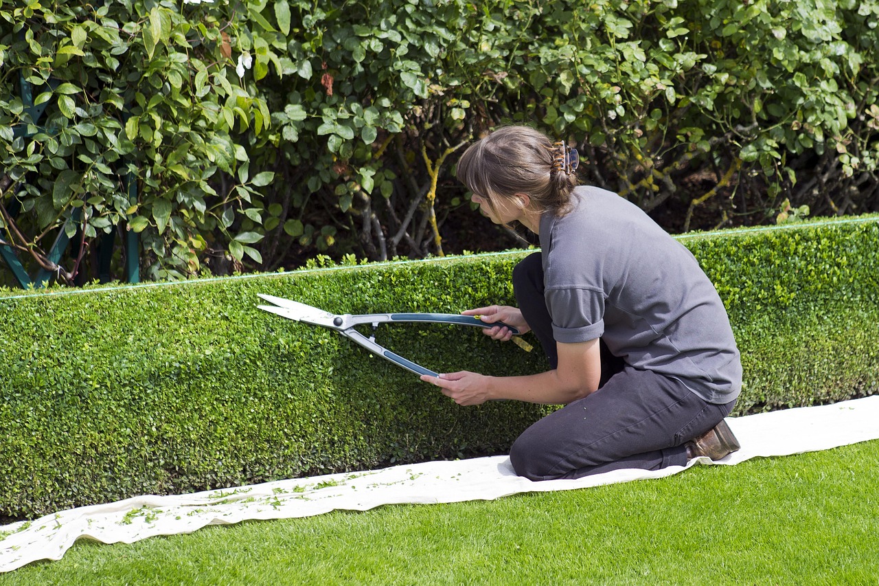 How and When to Prune Trees and Shrubs