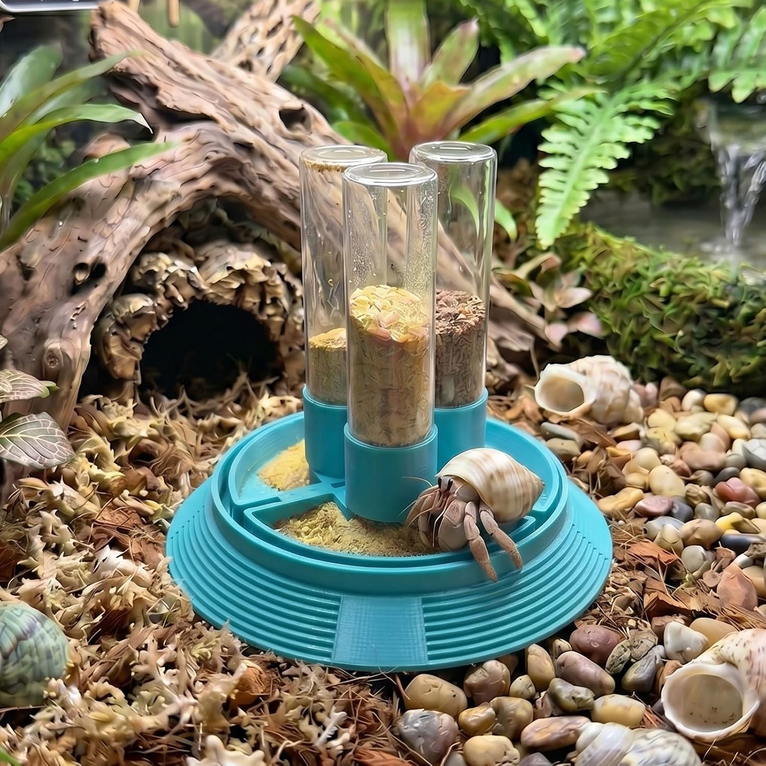 Hermit Crab Automatic Feeder and Bathing Dish Set — 4-in-1 Feeding Station, Teal