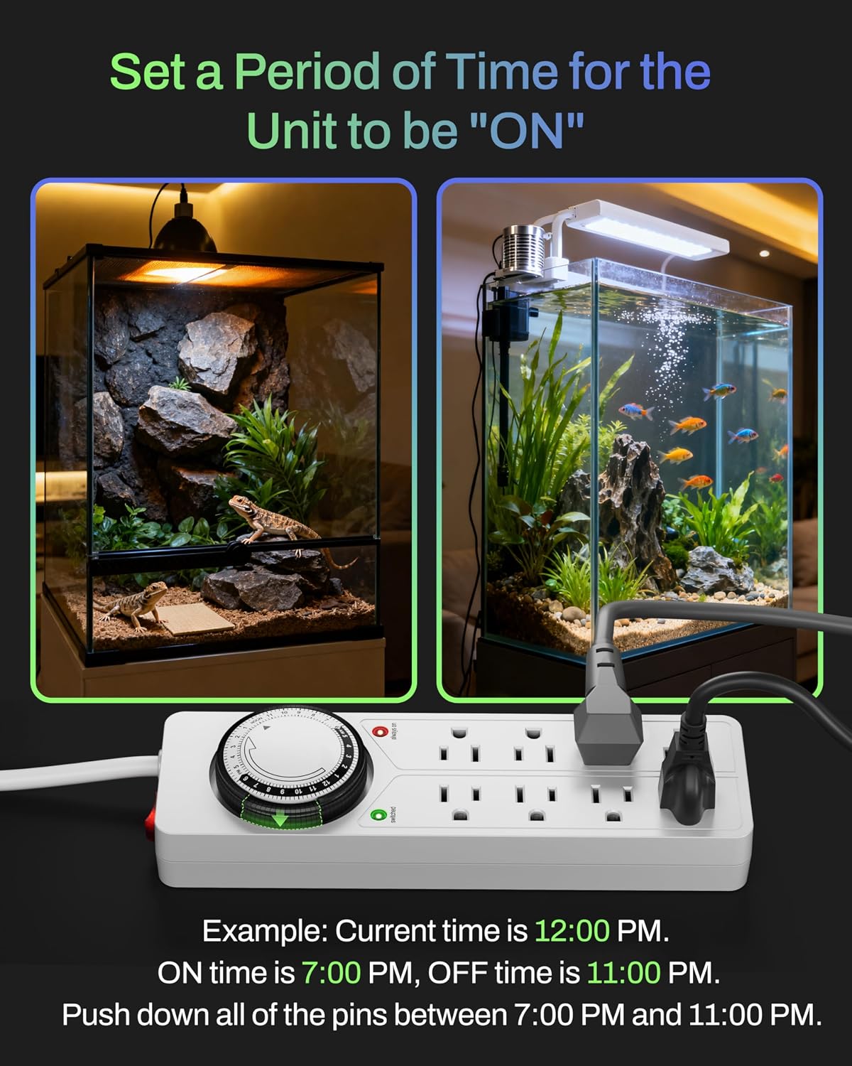 Reptile Habitat Timer Power Strip — 8-Outlet Surge Protector with 4FT Cord — image 4