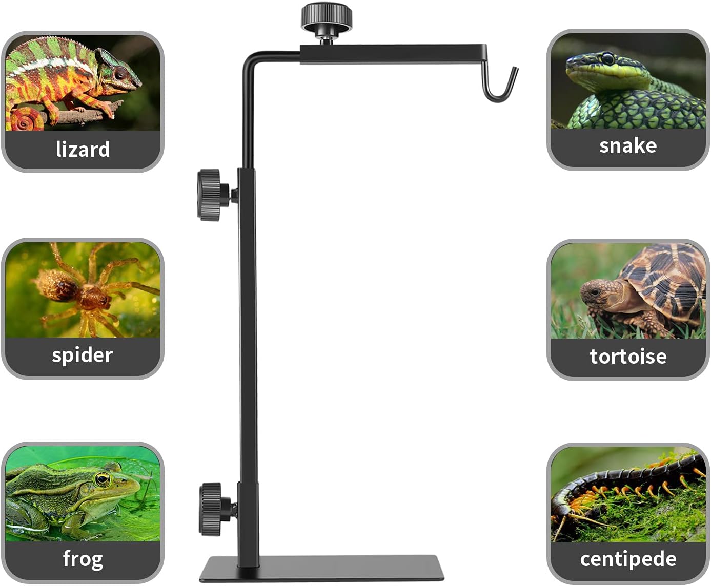 Adjustable Reptile Lamp Stand — 16-31 Inch Floor Bracket with Stable Base — image 2