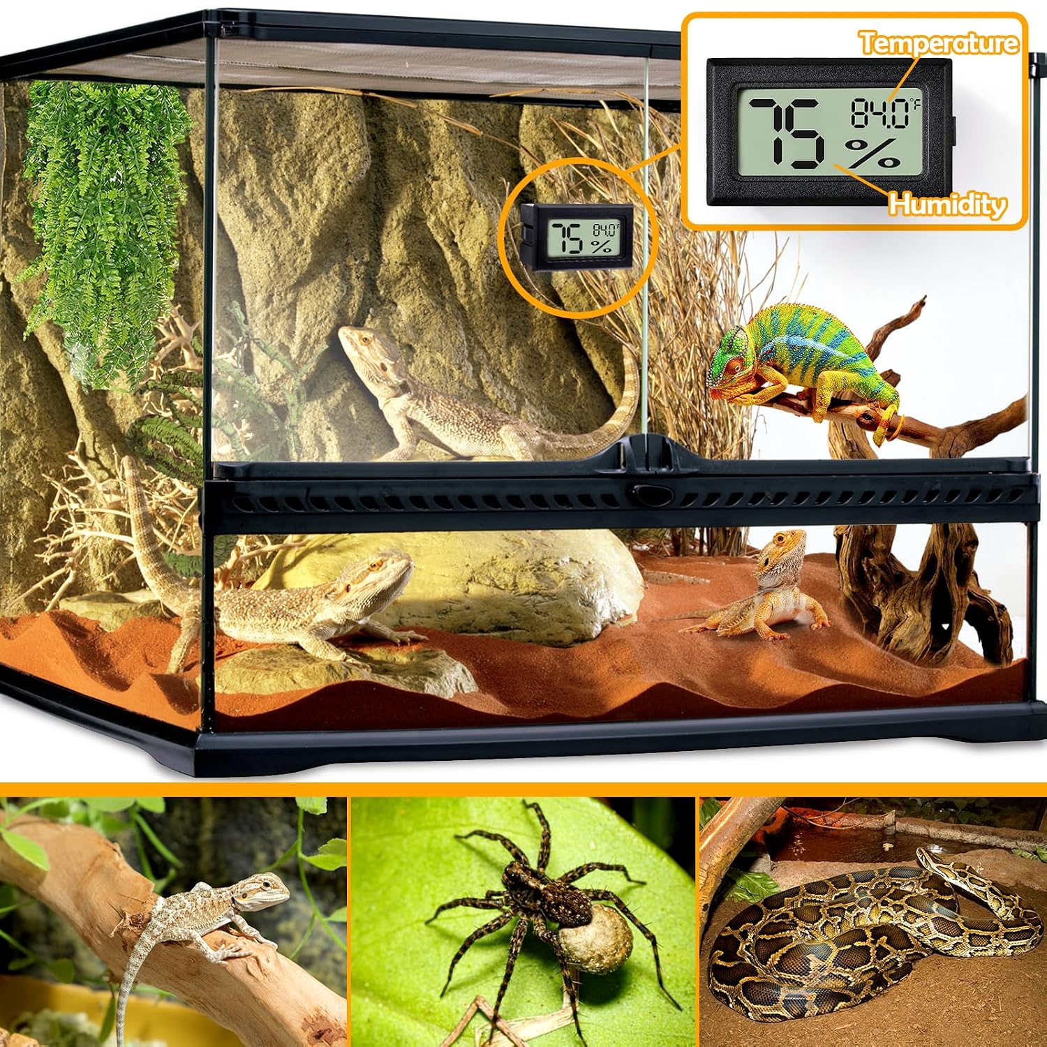 Reptile Thermometer and Humidity Gauge — 2-Piece Rectangle, for Terrariums — image 2