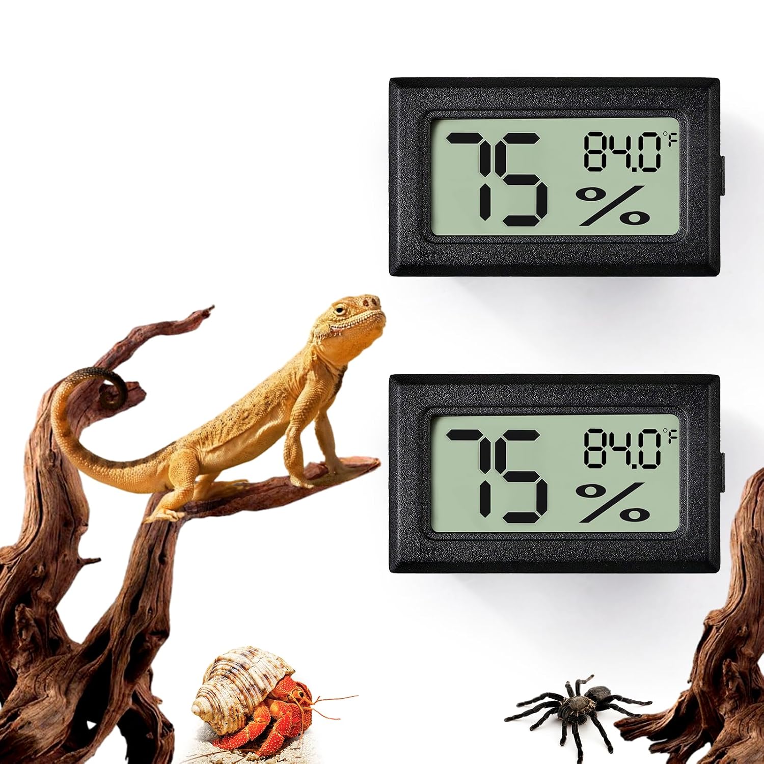 Reptile Thermometer and Humidity Gauge — 2-Piece Rectangle, for Terrariums