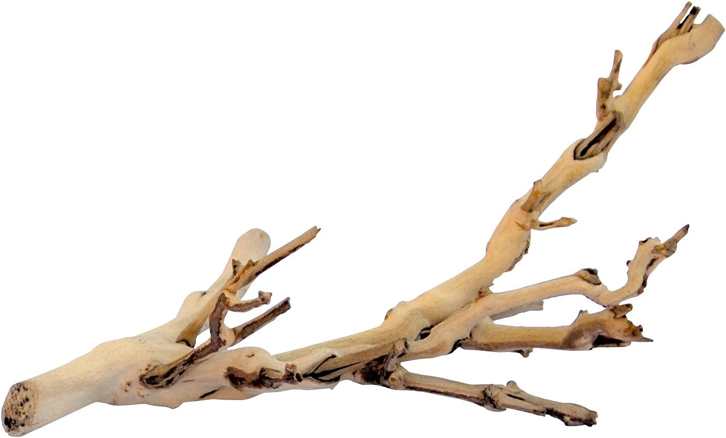 Forest Branch Reptile Decor — Small, Natural Terrarium Wood