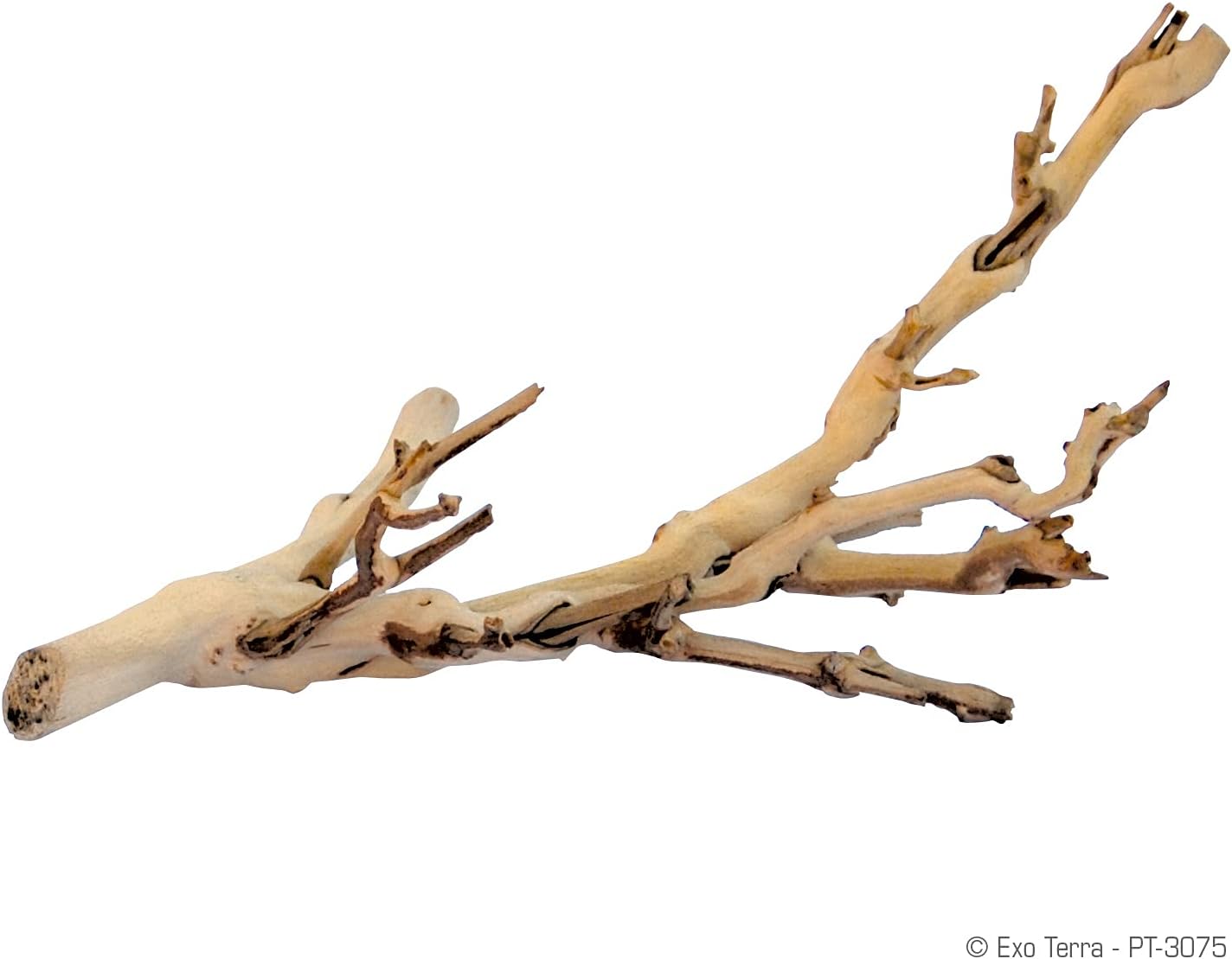Forest Branch Reptile Decor — Small, Natural Terrarium Wood — image 2