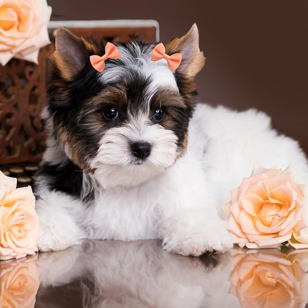 Vibrant Grosgrain Pet Hair Bows - Hình 8