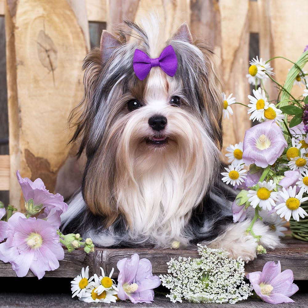 Vibrant Grosgrain Pet Hair Bows - Hình 7