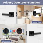 Matte Black Square Privacy Door Levers – 5-Pack Modern for Bedroom & — view 3