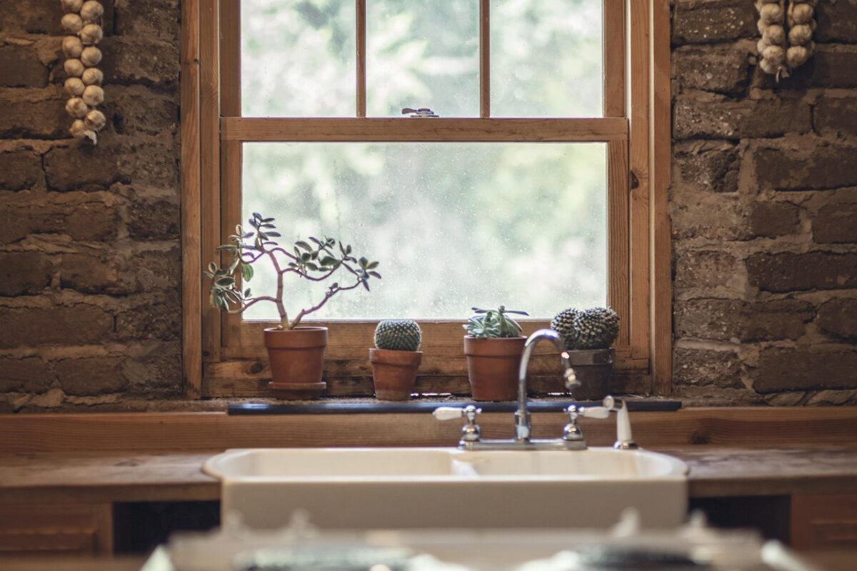 A calm home interior with plants