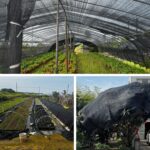 Greenhouse Shade Cloth - Hình 6