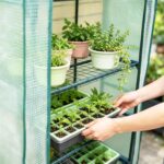 5-Tier Portable Mini Greenhouse - Hình 6