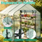 Compact Walk-In Greenhouse - Hình 4
