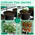 Compact Walk-In Greenhouse - Hình 5