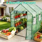 Compact Walk-In Greenhouse - Hình 7