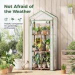 Compact Wooden Shelf Greenhouse - Hình 3