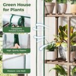 Compact Wooden Shelf Greenhouse - Hình 5