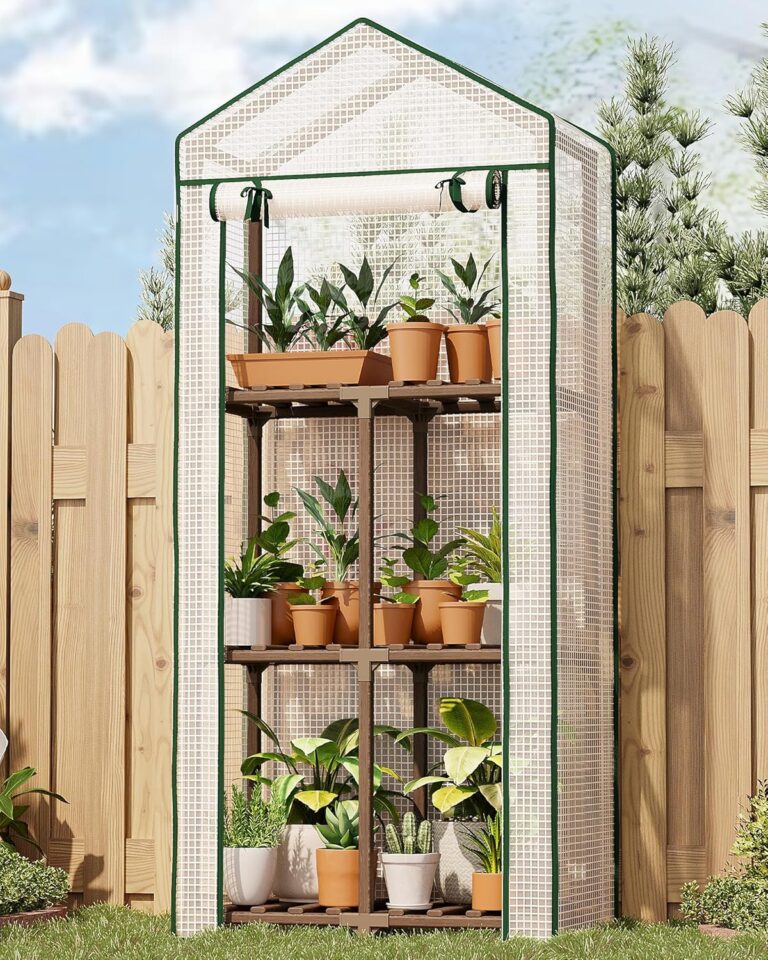 Compact Wooden Shelf Greenhouse with High-Roof Design