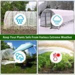 UV-Resistant Greenhouse Plastic Film - Hình 2