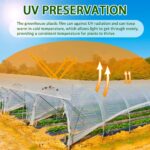 UV-Resistant Greenhouse Plastic Film - Hình 3