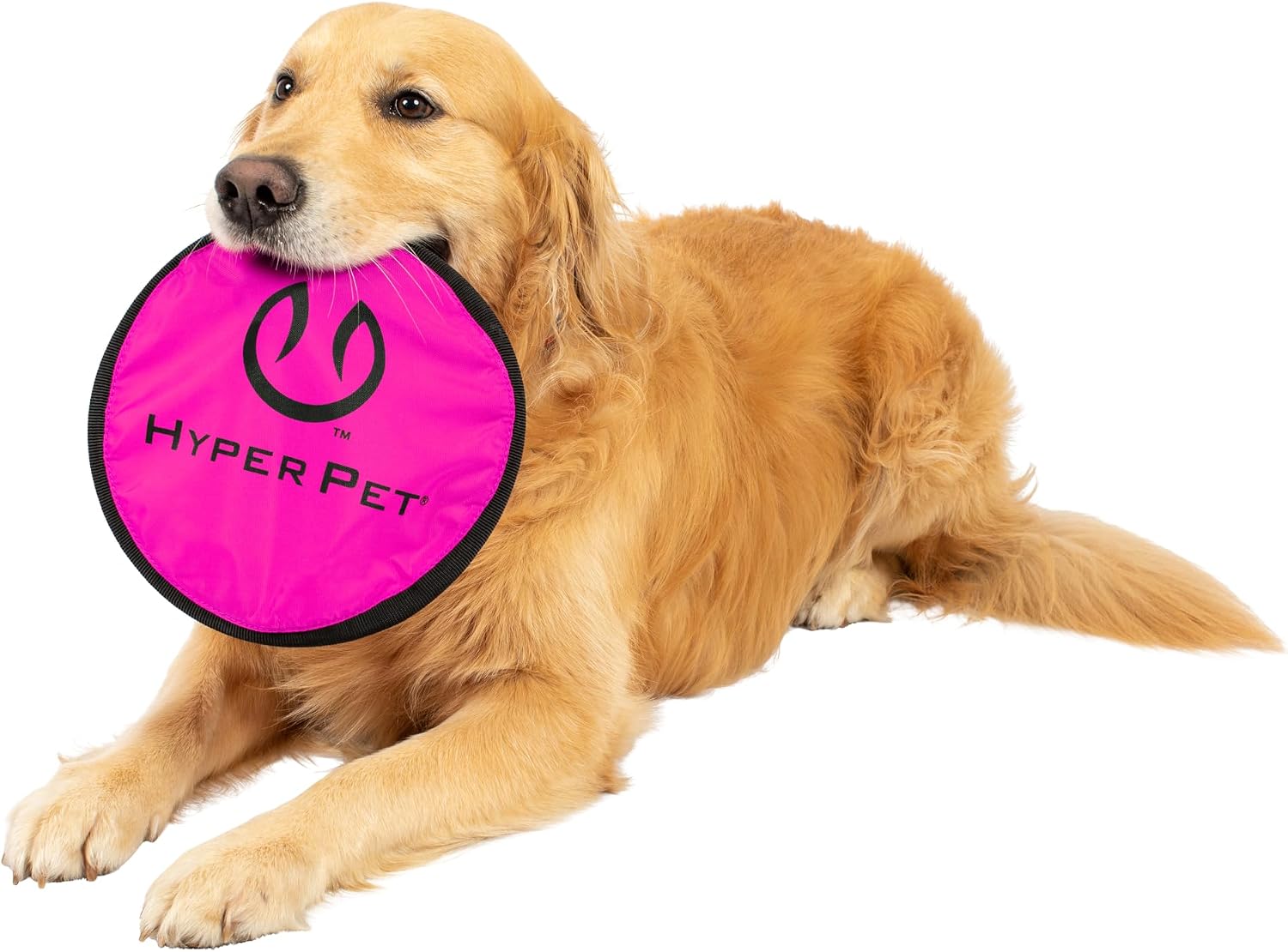 Flying Disc Dog Toy — Durable & Soft Flyer — image 10