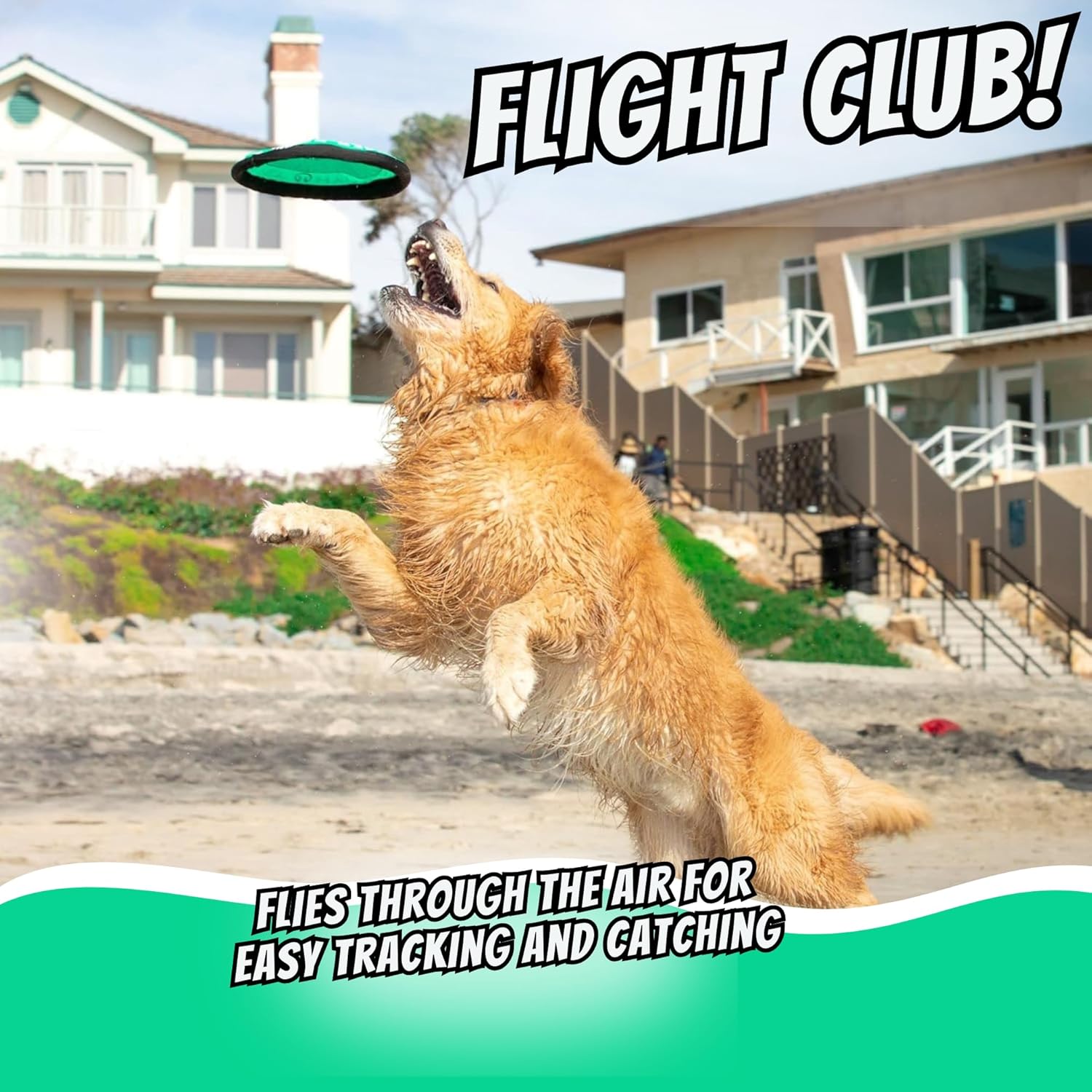 Flying Disc Dog Toy — Durable & Soft Flyer — image 3