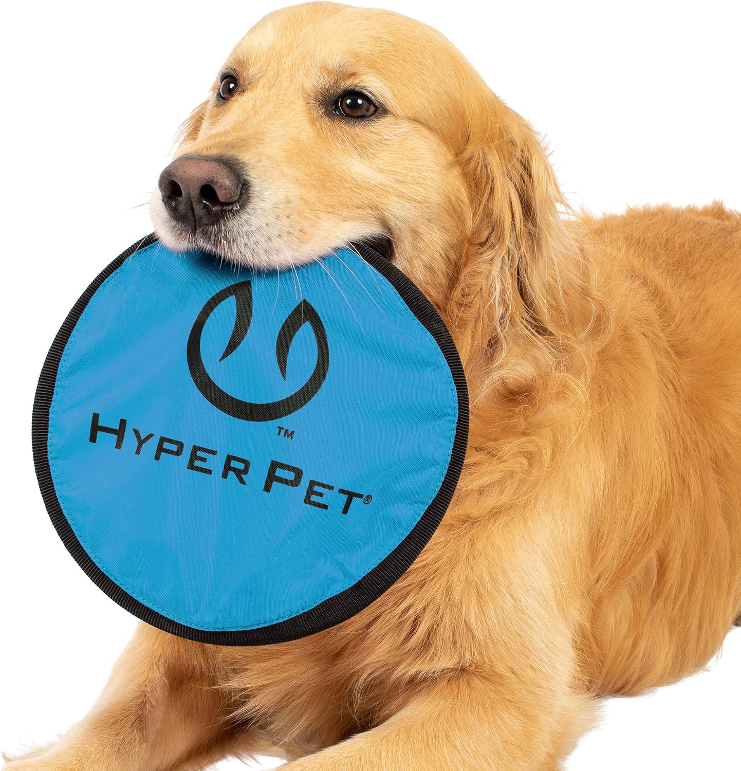 Flying Disc Dog Toy — Durable & Soft Flyer — image 7