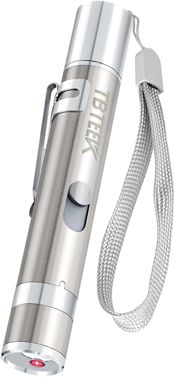 3-in-1 Cat Laser Pointer — Silver, Rechargeable