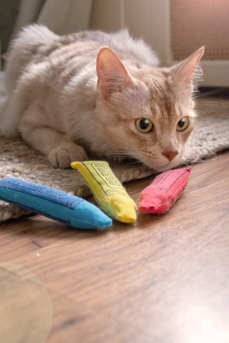 Catnip Crayons — 3-Pack Rolled Catnip Sticks for Cats — image 2