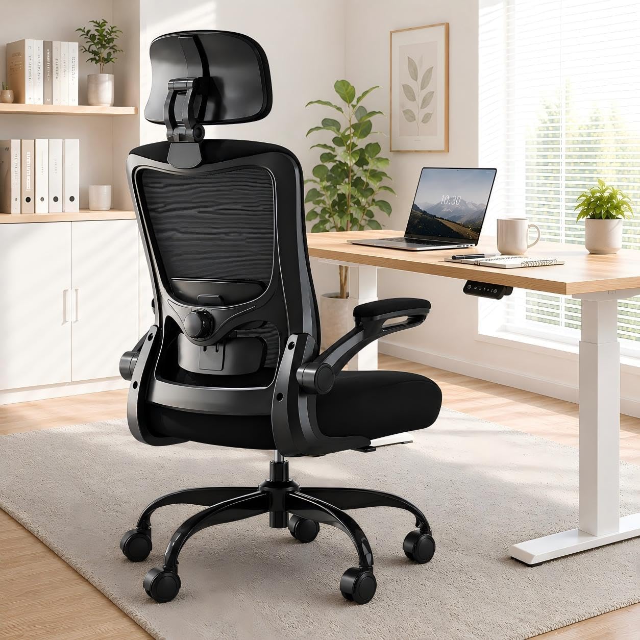 Ergonomic Office Chair for Long Hours, Adjustable Padded Lumbar Support